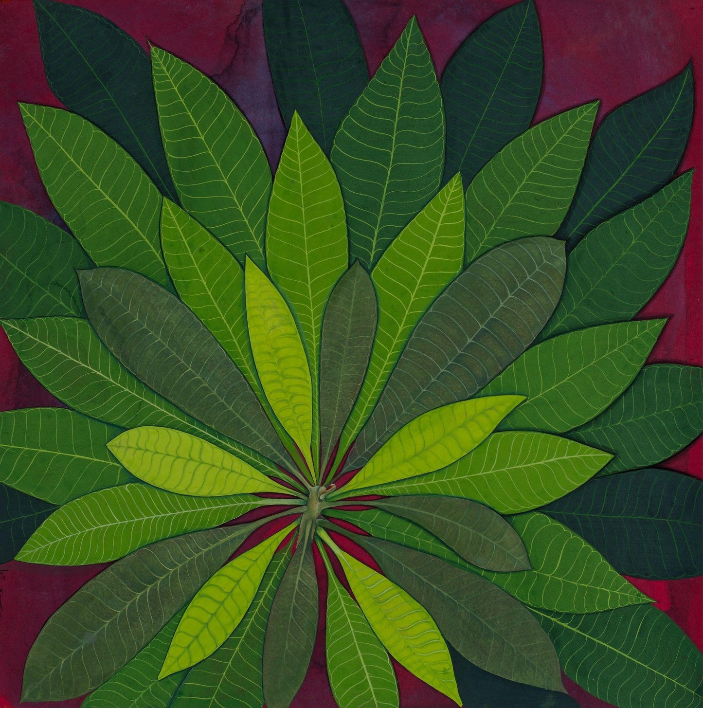 Untitled, Floral Painting by Bareera Sajid, Gouache on Wasli, 19 x 19 inches