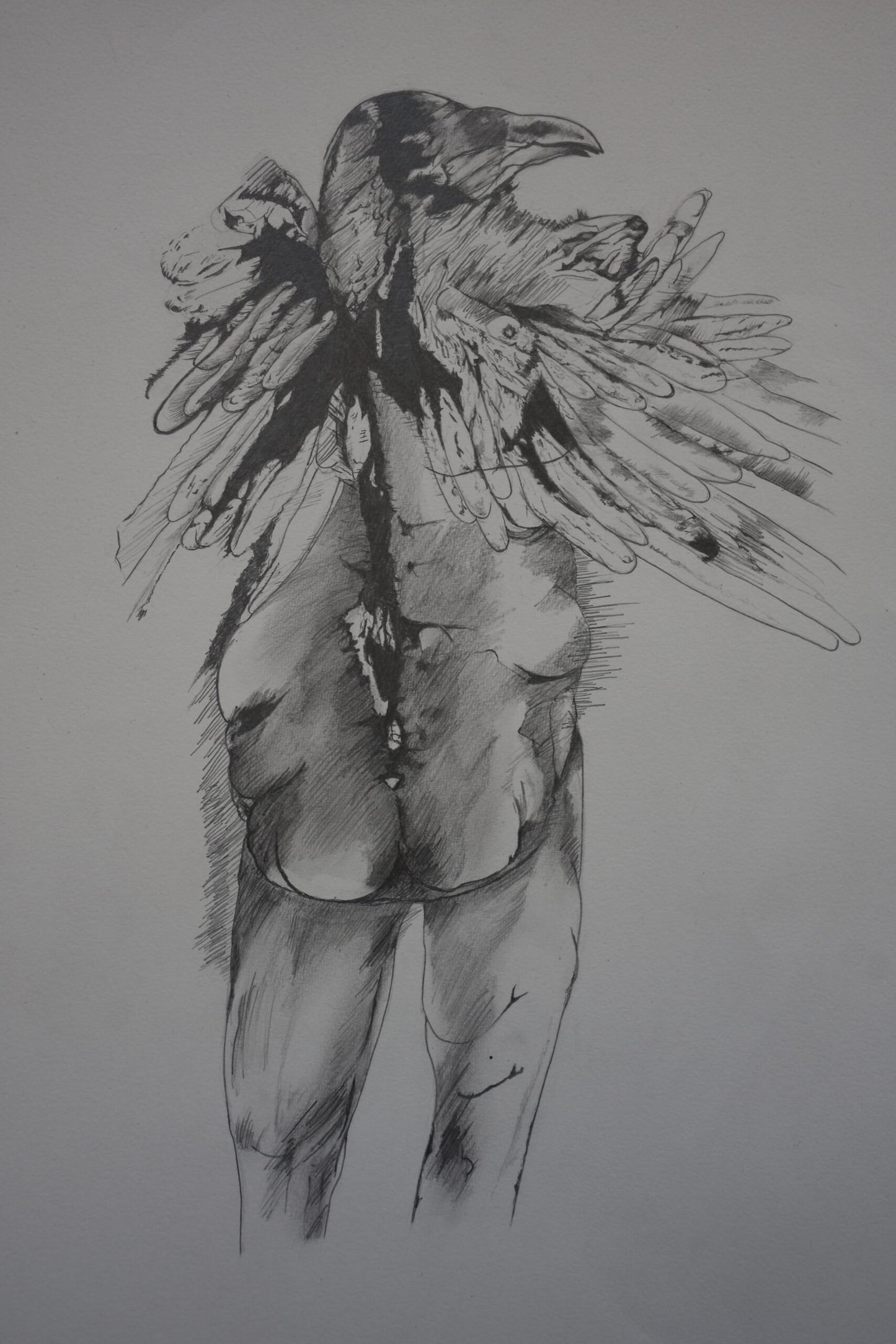"Broken Wings", Figurative Drawing by Asim Akhtar, Pencil on Paper, 18.5 x 23.5 inches