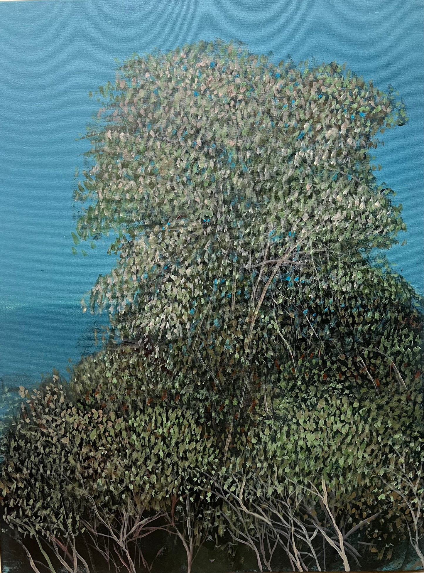 Groove, Painting by Shams Ul Arfeen Hashmi, Acrylic on Canvas, 18 x 24 inches
