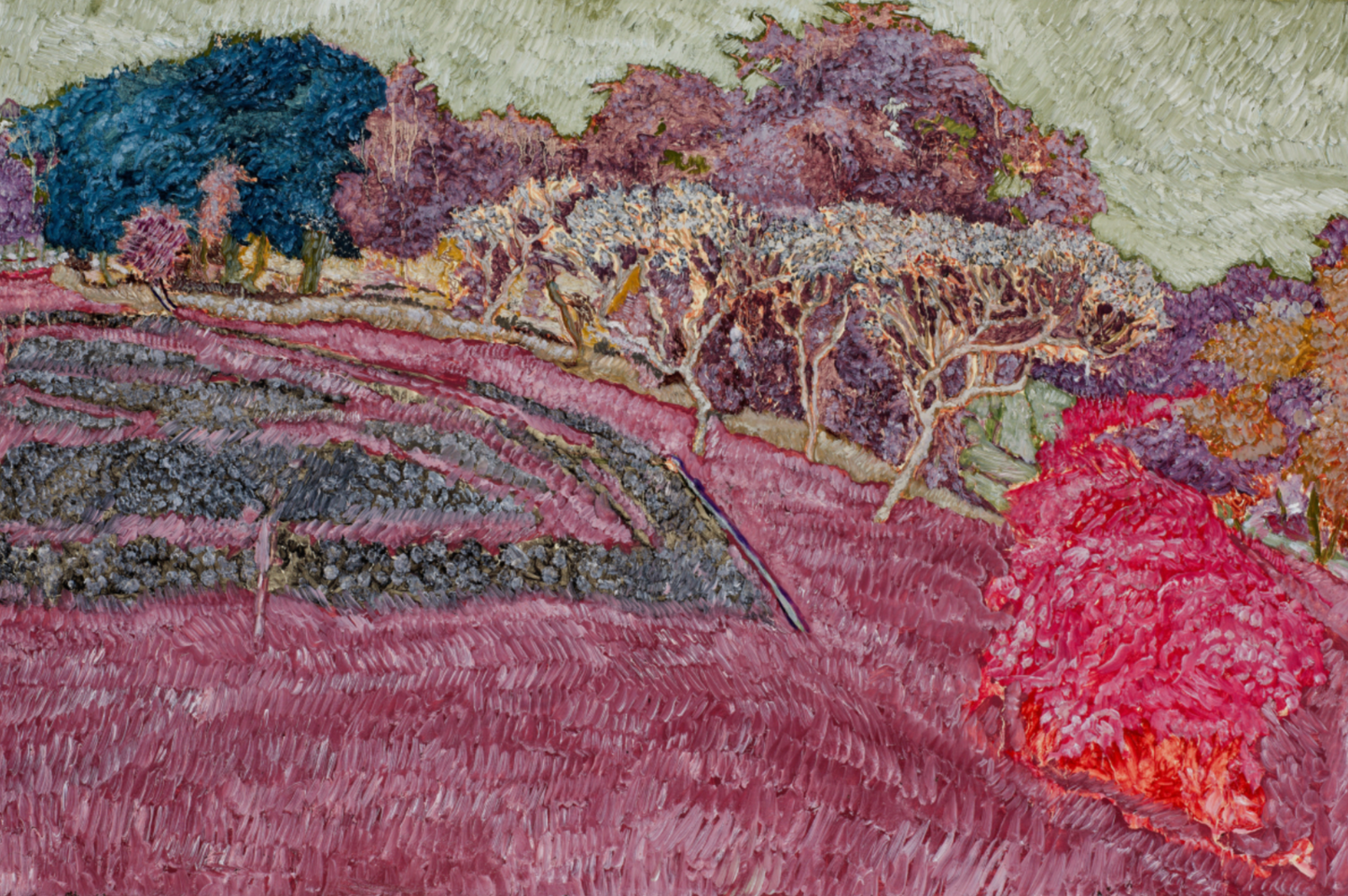 Flowers Field, Landscape Painting by Yawar Abbas, Oil on Canvas, 36 x 24 Inches