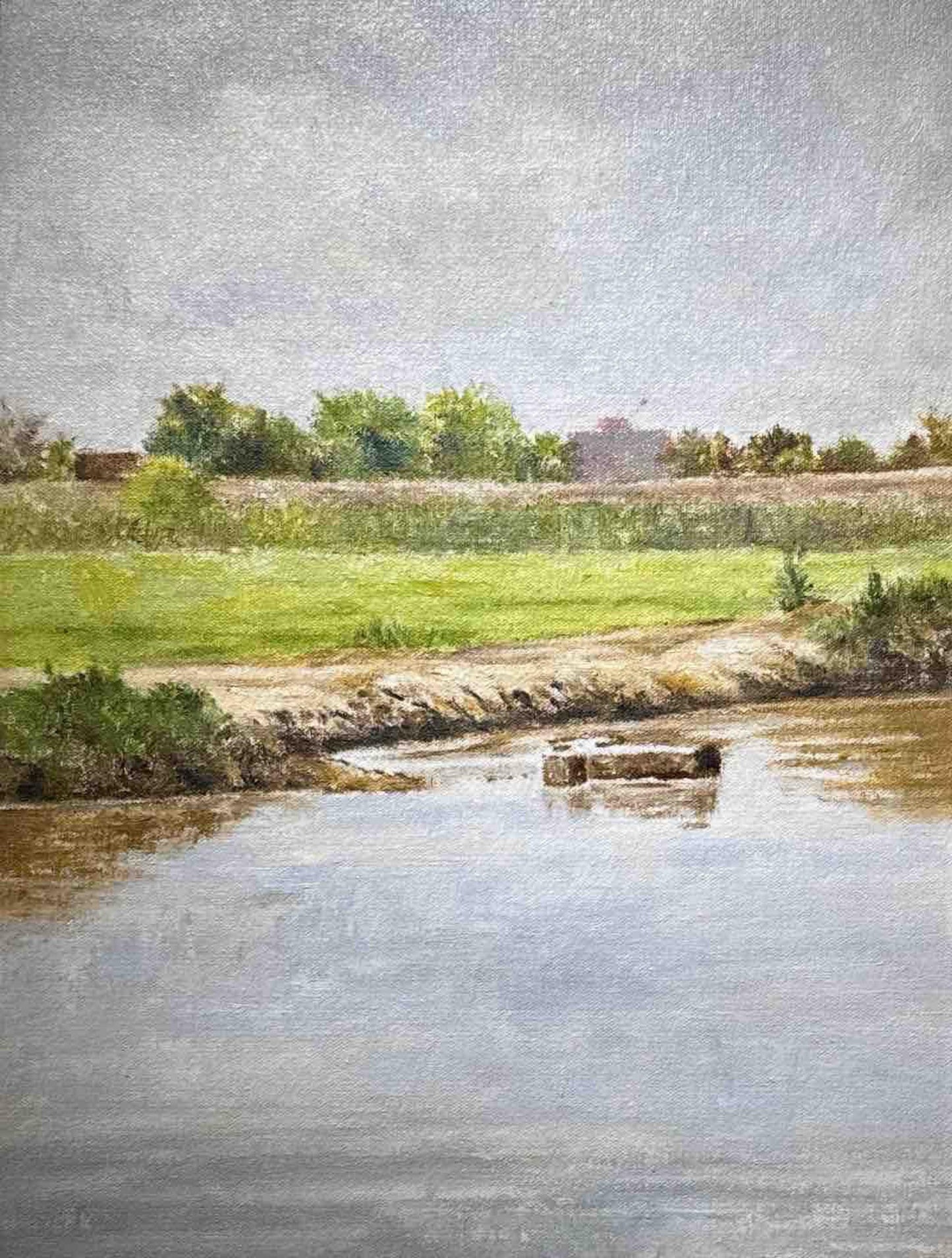 Untitled, Landscape painting by Nazir Ahmed, Oil on Canvas, 12 x 16 inches