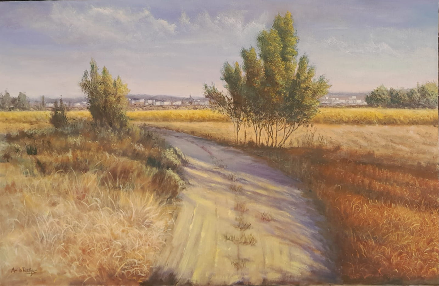 Untitled, Landscape Painting by Anila Rafique, Oil on Canvas, 35 x 23 inches