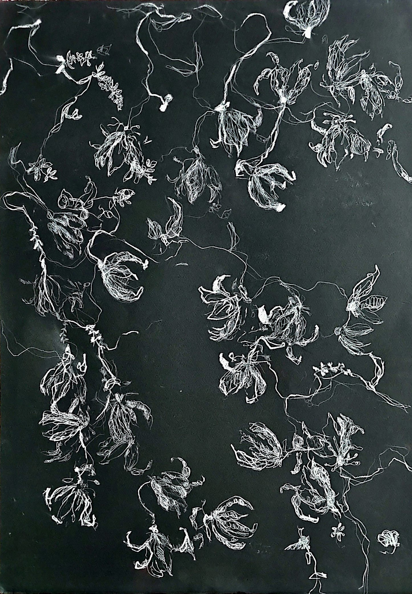 New Heaven, Floral Painting by Sarah Mumtaz, Oil Pastel on Paper, 23 x 31 Inches