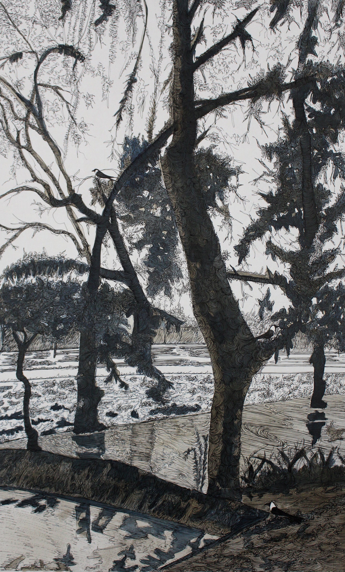 Orchestra of Trees, Landscape Painting by Faiza Taufique, Pen & Ink on Bleach Card, 18 x 30 inches