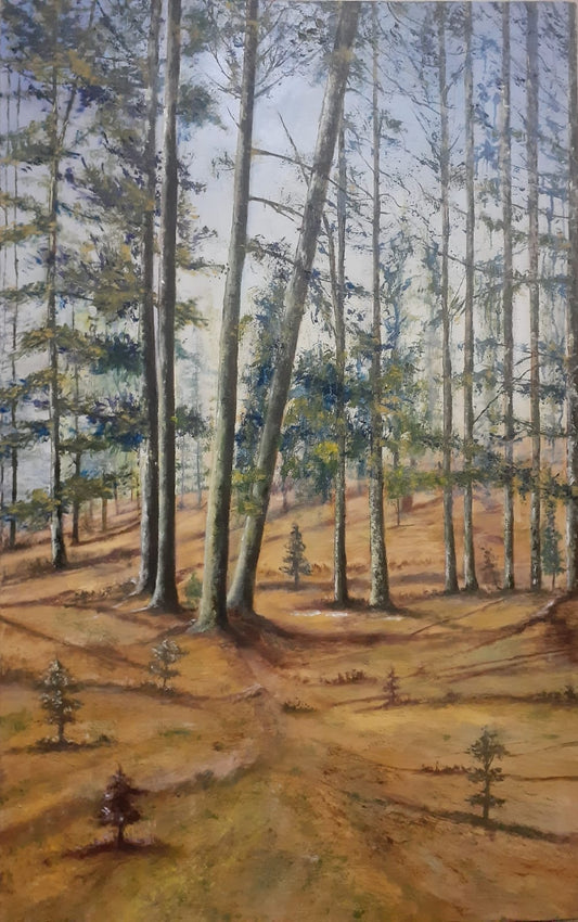 Untitled, Painting by Madiha Iram, Oil on Canvas, 30 x 47 inches