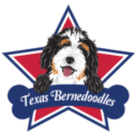 Profile picture of Tx Bernedoodles