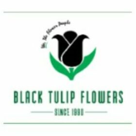 Profile picture of Black Tulip Flowers